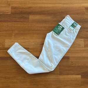 🆕 Size 4, Toad & Co. Lola Skinny Jean, salt.